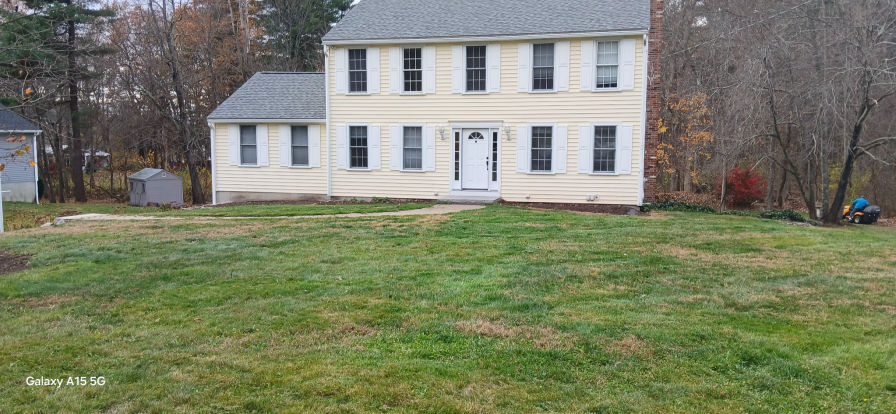 Tims Tree and Landscapingr