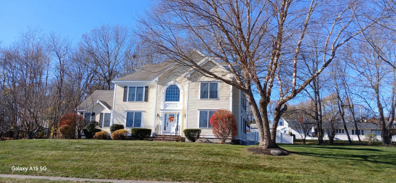 Tims Tree and Landscapingr