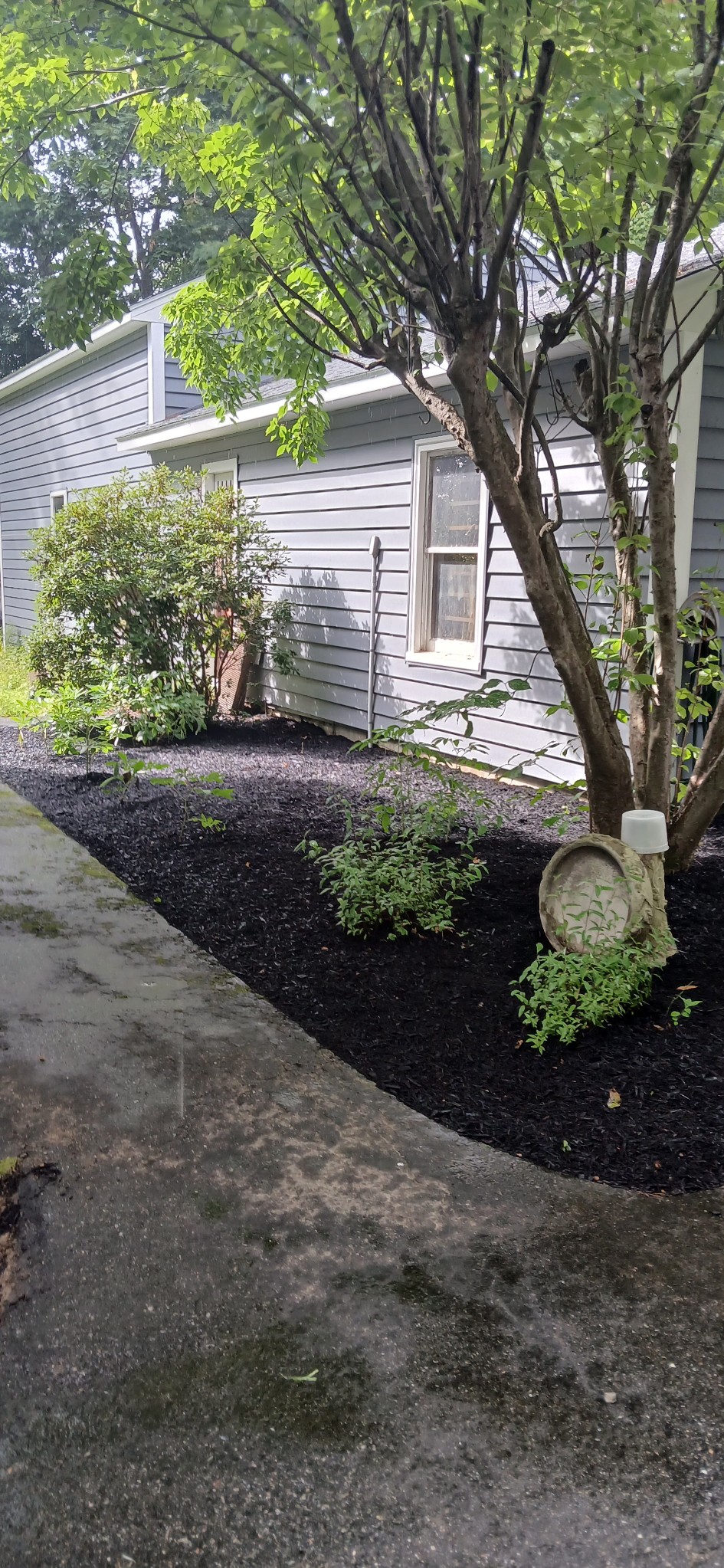 Tims Tree and Landscapingr