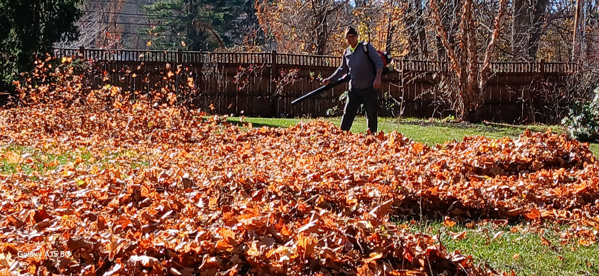 Tims Tree and Landscapingr