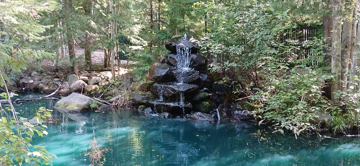 Tims Tree and Landscapingr