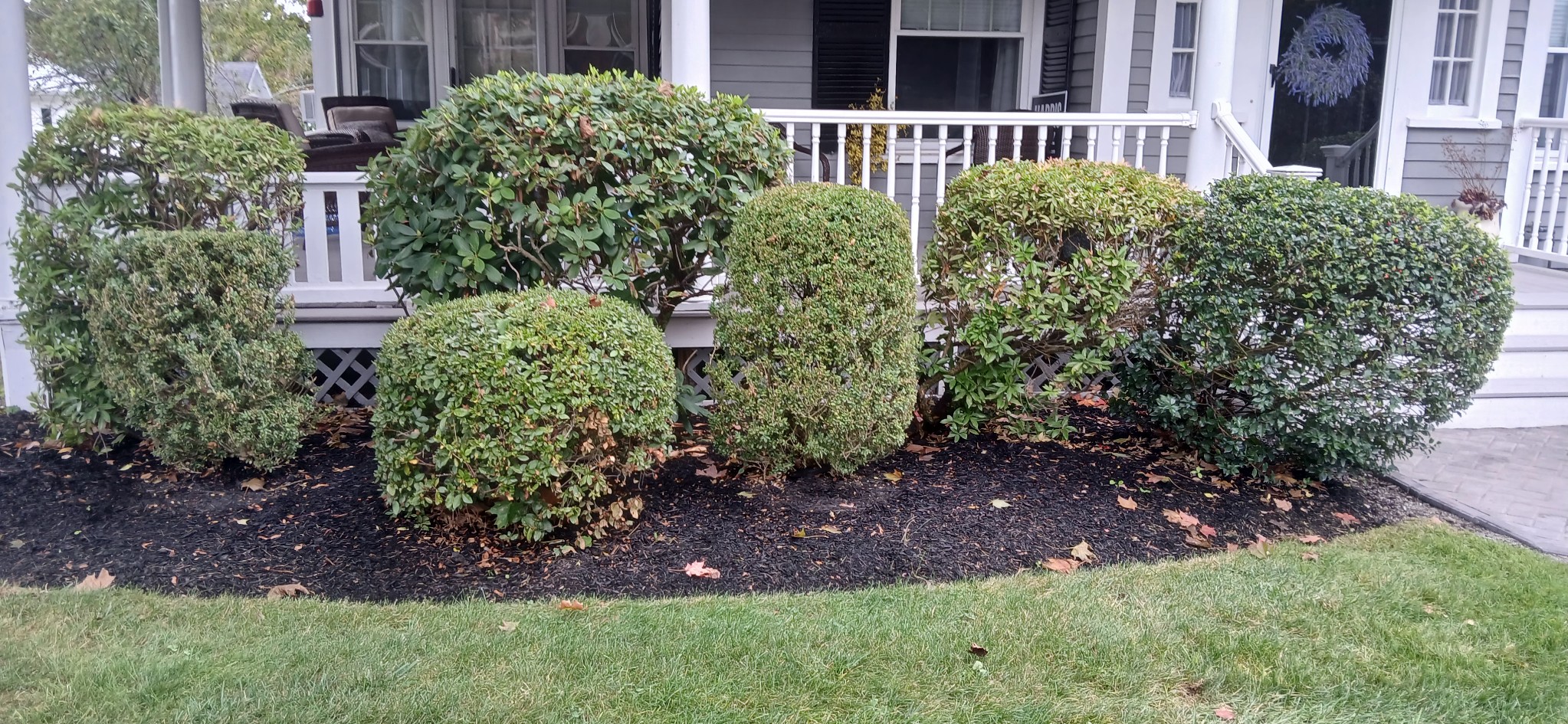 Tims Tree and Landscapingr